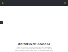 Tablet Screenshot of dierenkliniekenschede.nl